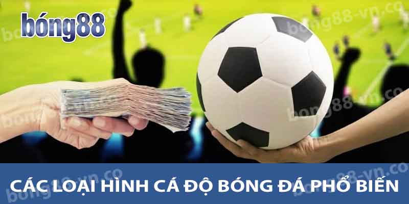 Các loại hình cá độ bóng đá phổ biến