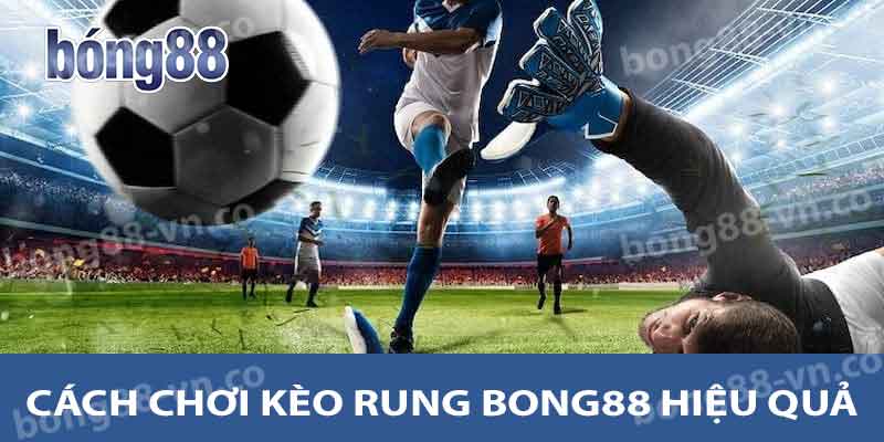 Cách chơi kèo rung Bong88 hiệu quả