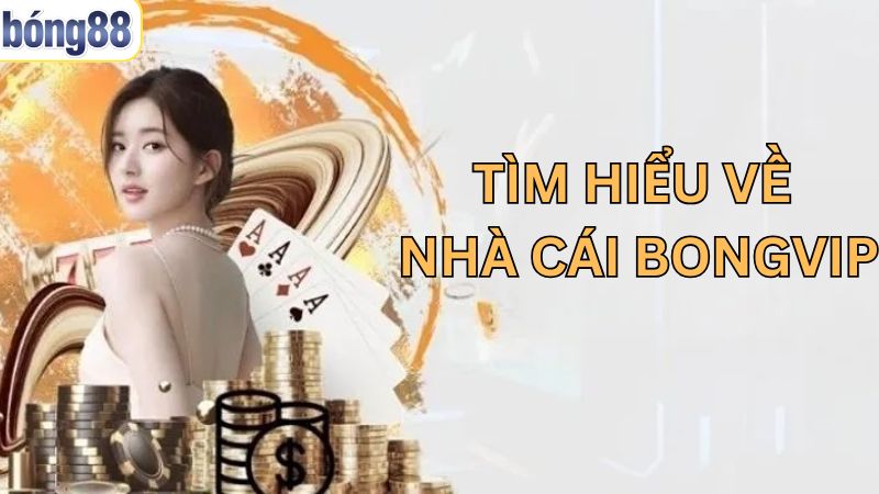 Vài nét nổi bật về sân chơi nổi bật